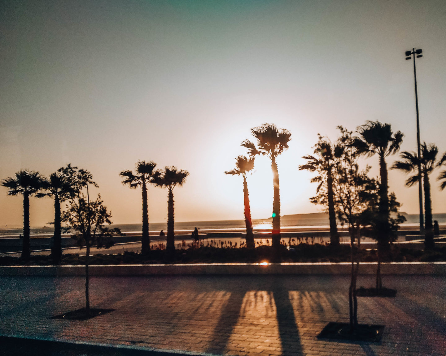 lungomare al tramonto con palme