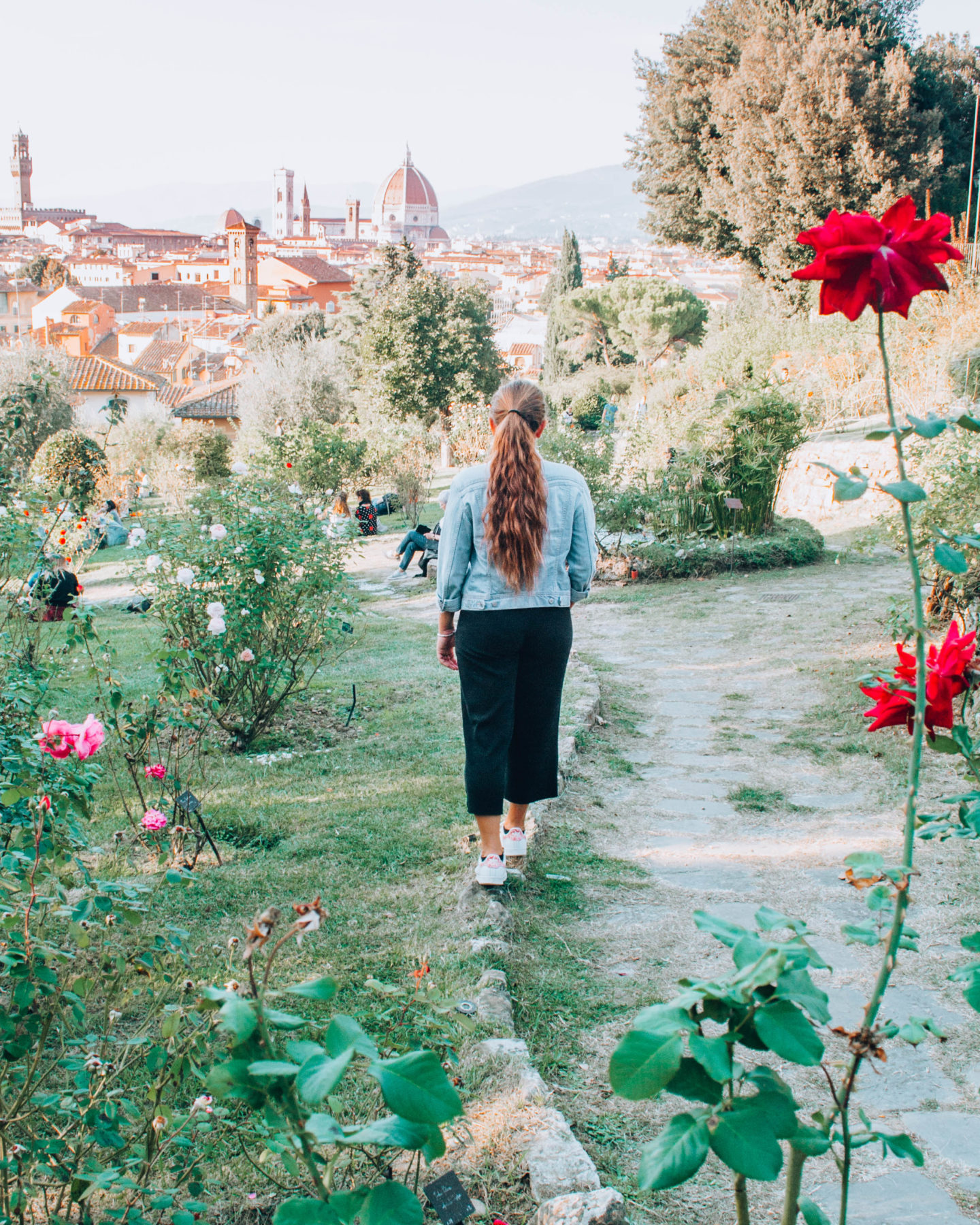 ragazza di spalle in un giardino di rose