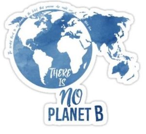 there's no planet b