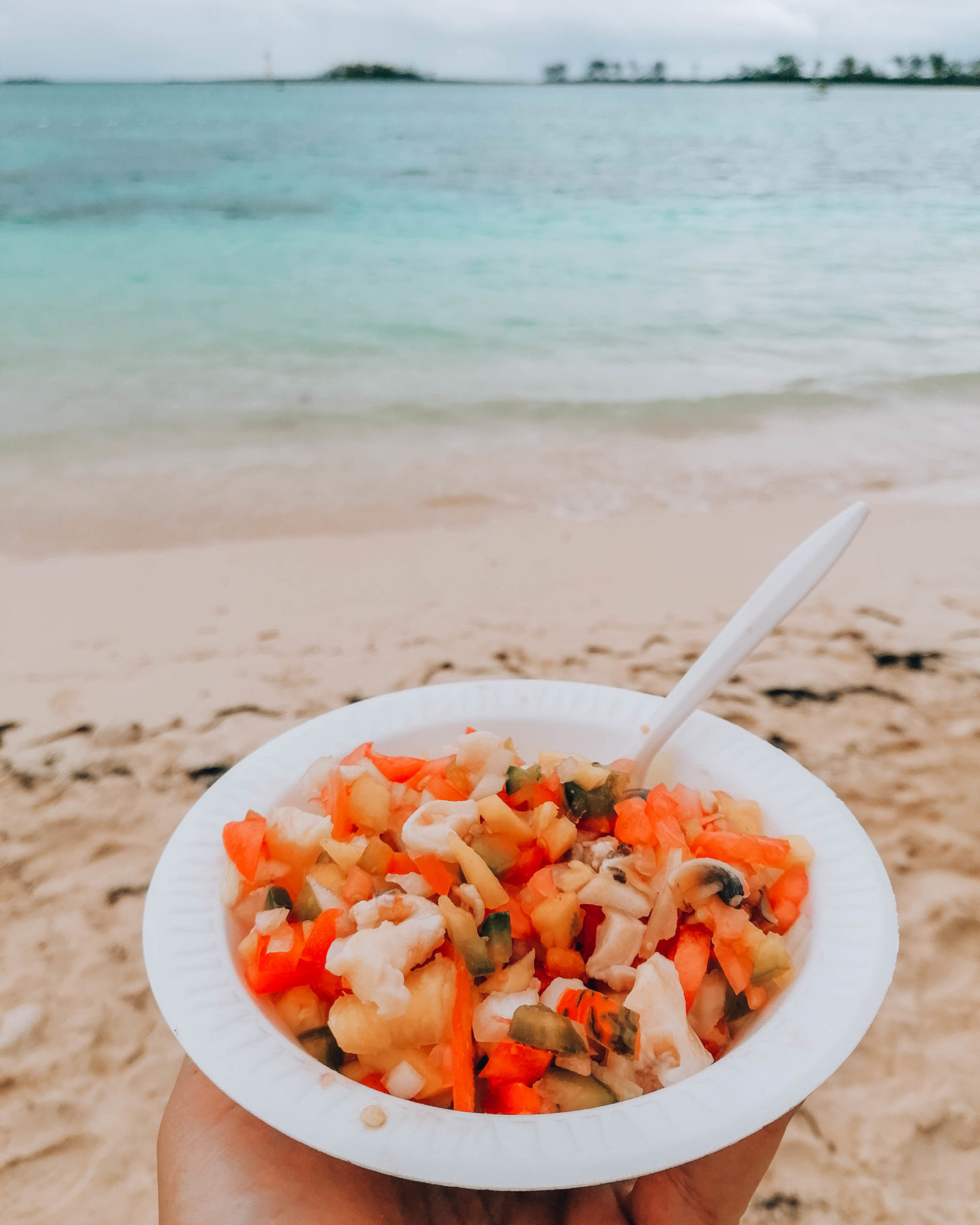 insalata di pesce e frutta tropicale in riva al mare - quando costa un viaggio alle bahamas