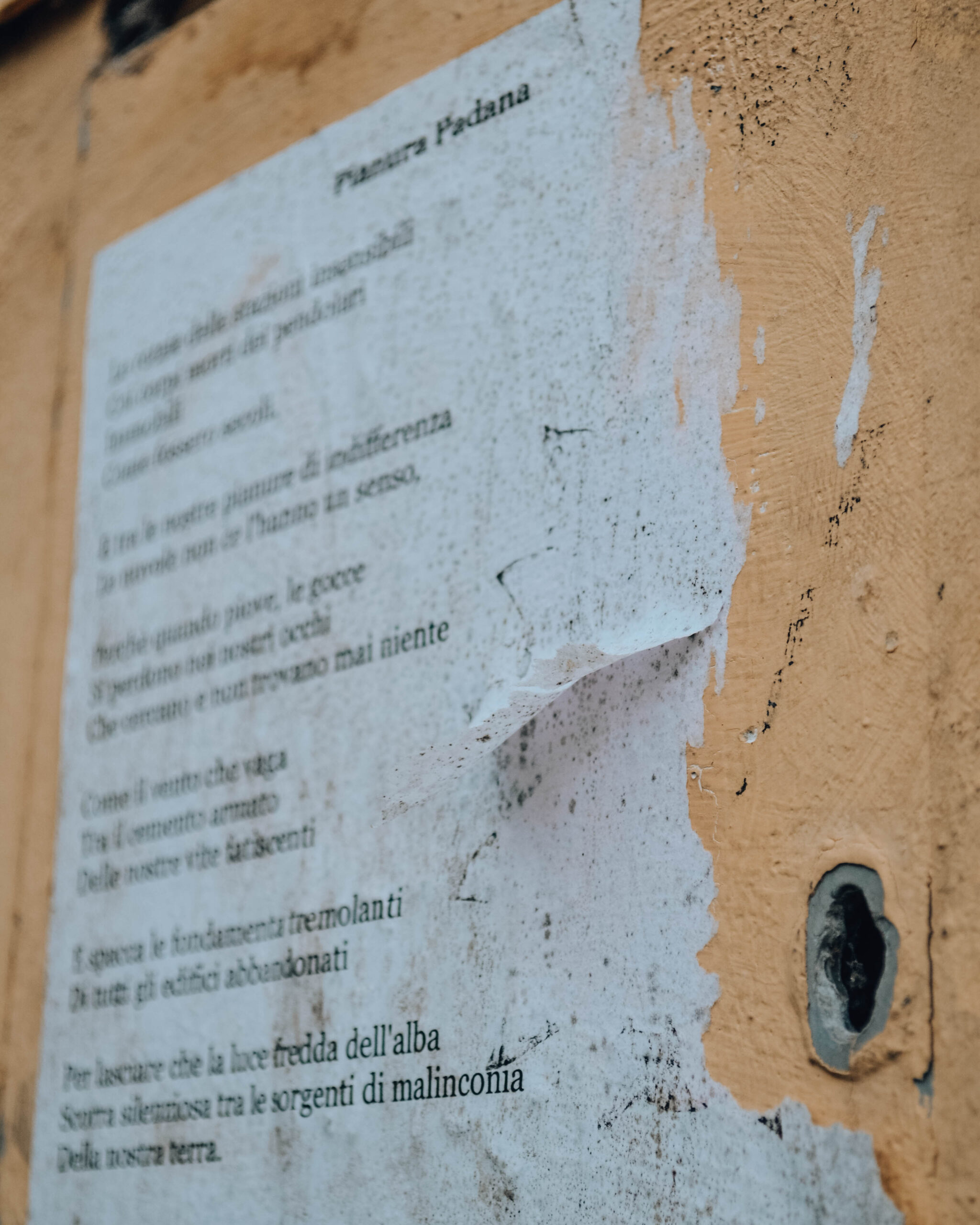 poesia scritta su foglio bianco affissa su muro in città