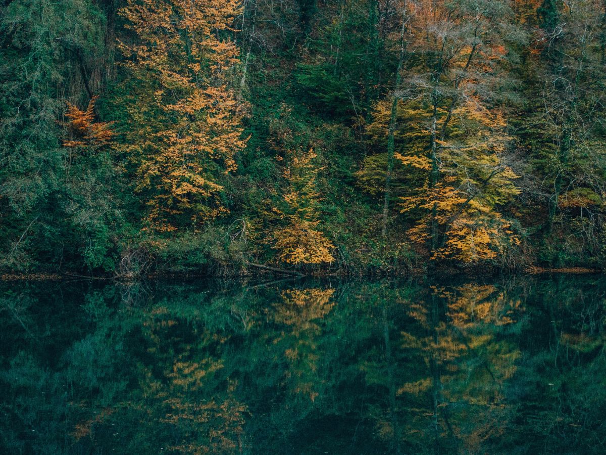 Riflesso dei boschi colorati di arancione e verde sulle acque smeraldo del lago di Isola Santa in Garfagnana.